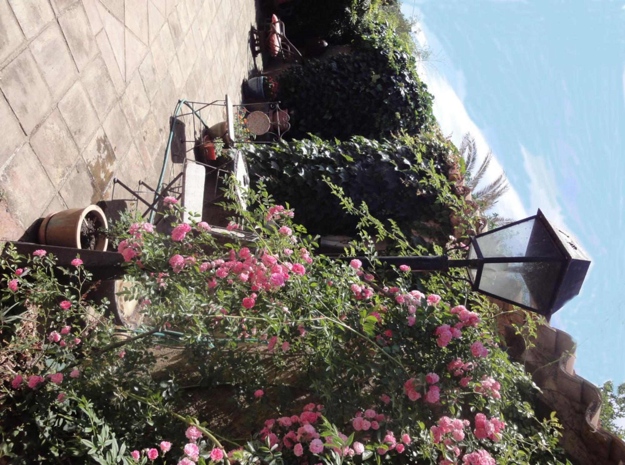 L'Amandari - Chambres D'Hotes Le Plan-de-la-Tour ภายนอก รูปภาพ